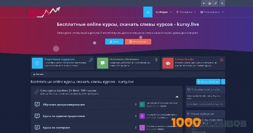kursy.live отзывы